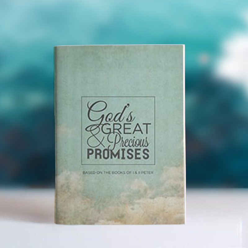 dntg_study_guides_god_promises