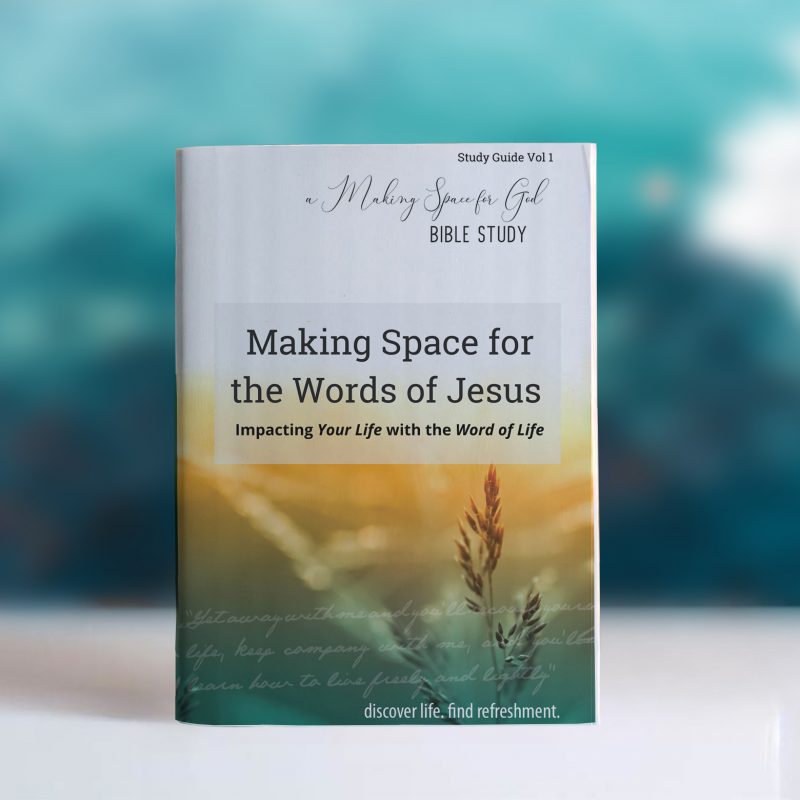 dntg_study_guides_making_space_words_jesus