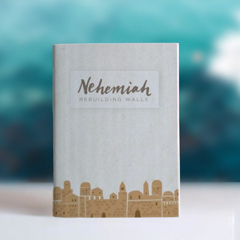 dntg_study_guides_nehemiah
